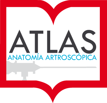 ATLAS de Anatomía Artroscópica